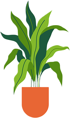 plant with tall leaves and orange pot